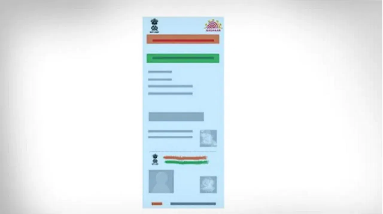 Blue Aadhar Card